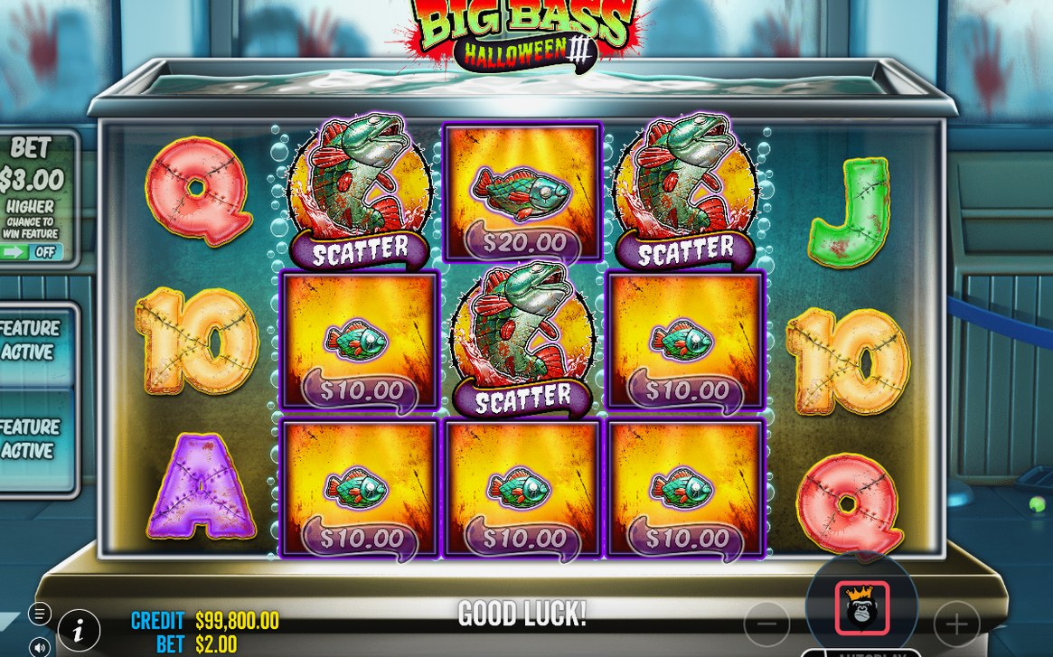 Free spins with multiplier and spin counter in view